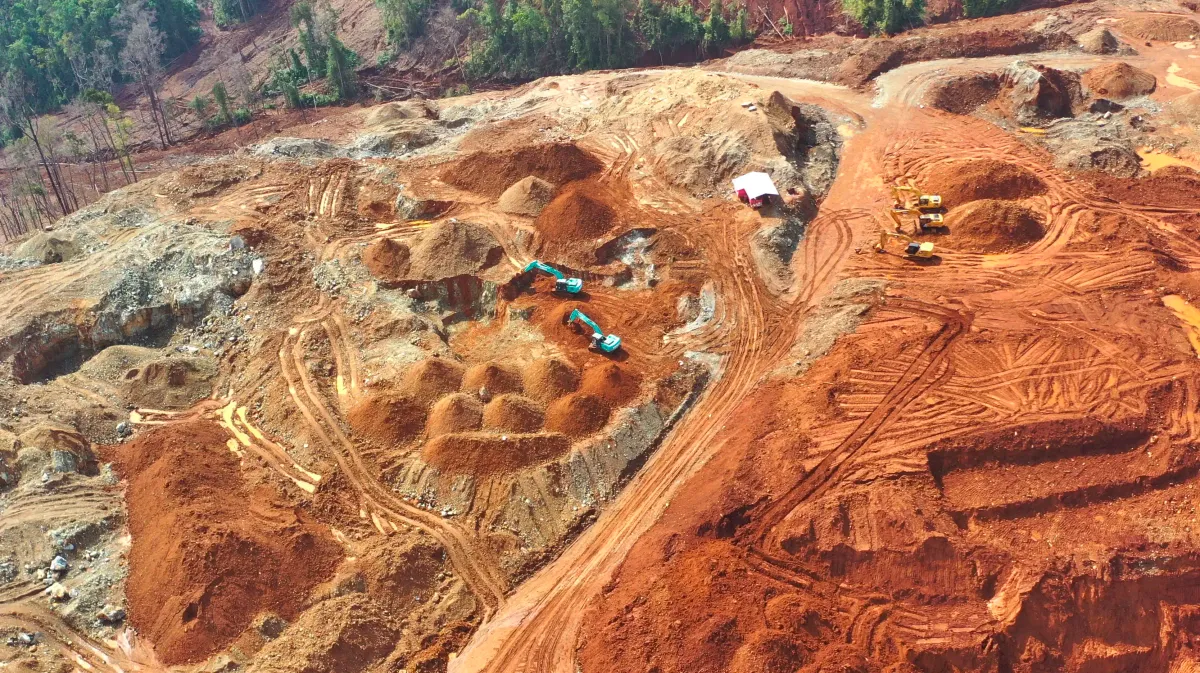 The Green Revolution's Hidden Cost